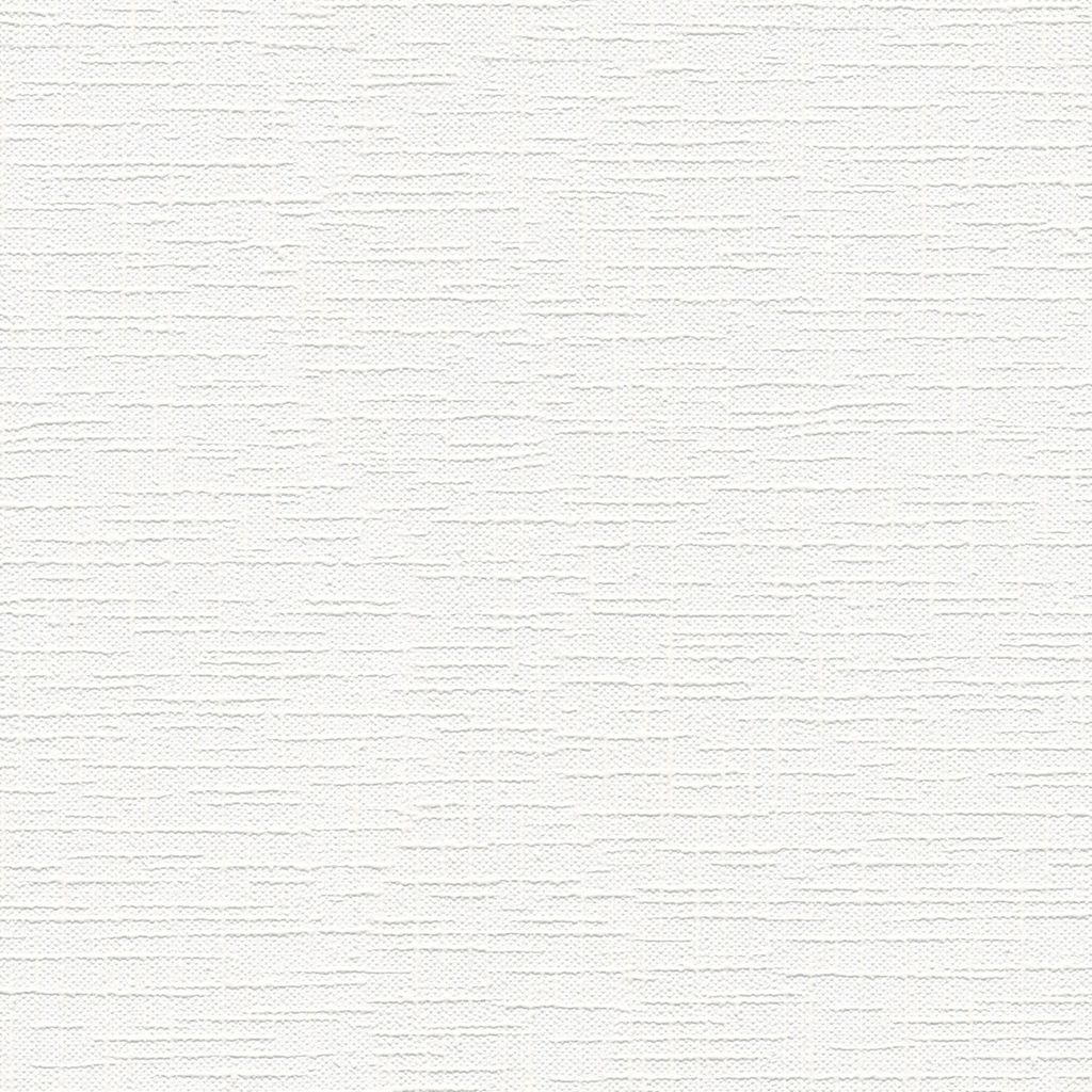 A.S. Création Vliestapete Meistervlies Pro Protect 2, weiss, überstreichbar, 25,00 m x 1,06 m, 250612, 2506-12