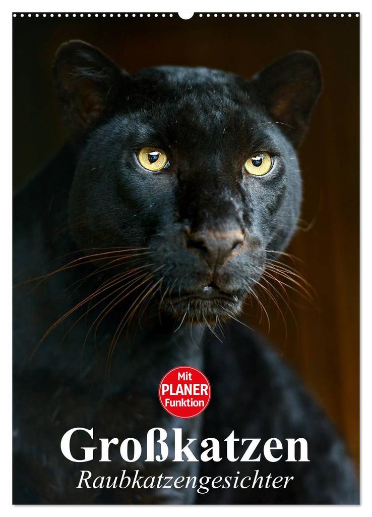 Großkatzen. Raubkatzengesichter (Wandkalender 2027 DIN A2 hoch), CALVENDO Monatskalender