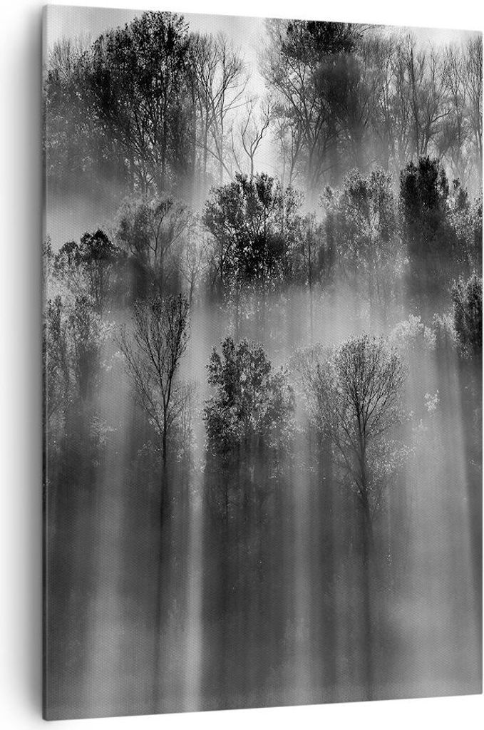 Bild auf Leinwand - Leinwandbild - Einteilig - Bäume drinnen Nebel - 70x100cm - Wand Bild - Wanddeko - Wandbilder - Leinwanddruck - Wanddekoration...