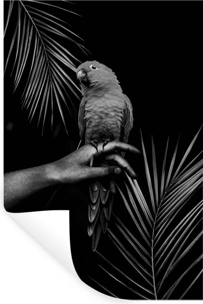 MuchoWow Wandtattoo Wandsticker Wandaufkleber Vogel auf einer Hand und schwarzem Hintergrund - schwarz und weiß 20x30 cm Selbstklebend und Repos...