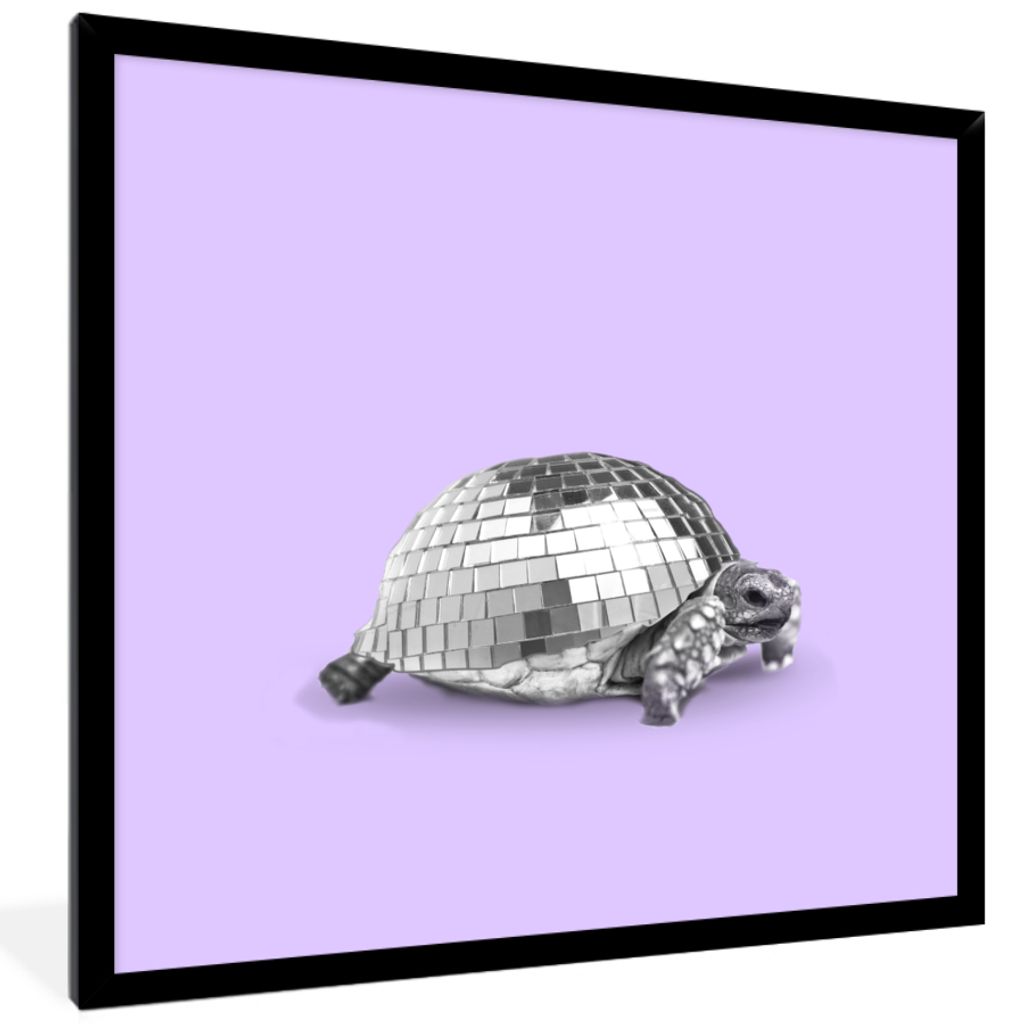 MuchoWow Gerahmtes Poster Schildkröte - Discokugel - Disco - Tier - Lila 40x40 cm - Poster mit Schwarzem Bilderrahmen Wandposter Rahmen Foto Bil...