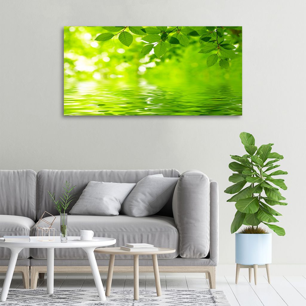 Tulup Leinwandbild -100x50 cm - Wandkunst - Drucke auf Leinwand - Leinwanddruck - Blumen & Pflanzen - Grün - Grüne Blätter