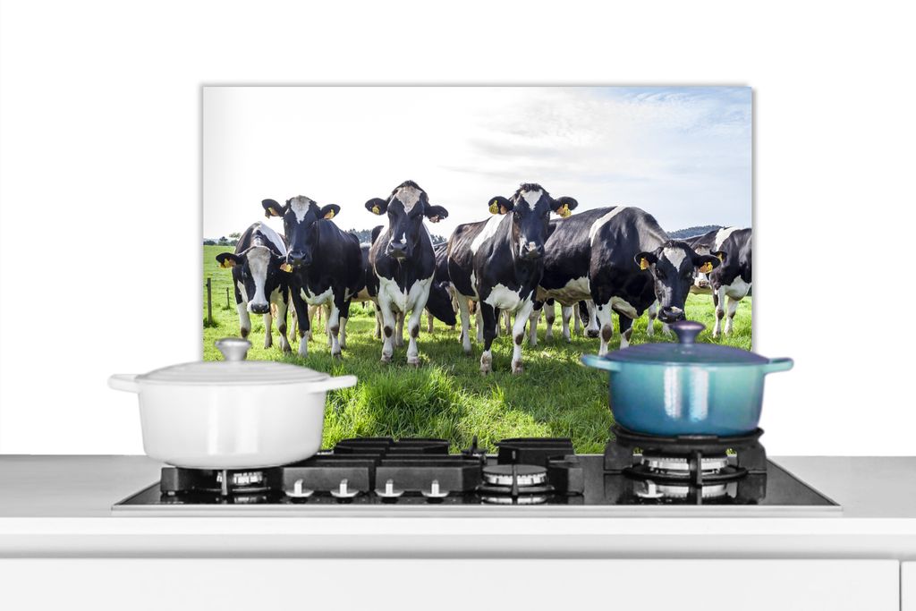 KitchenYeah Spritzschutz Küche - Küchenrückwand - Wandschutz für Herd und Spüle - Kühe - Licht - Frühling 70x50 - Alu-Dibond (Alternative ...