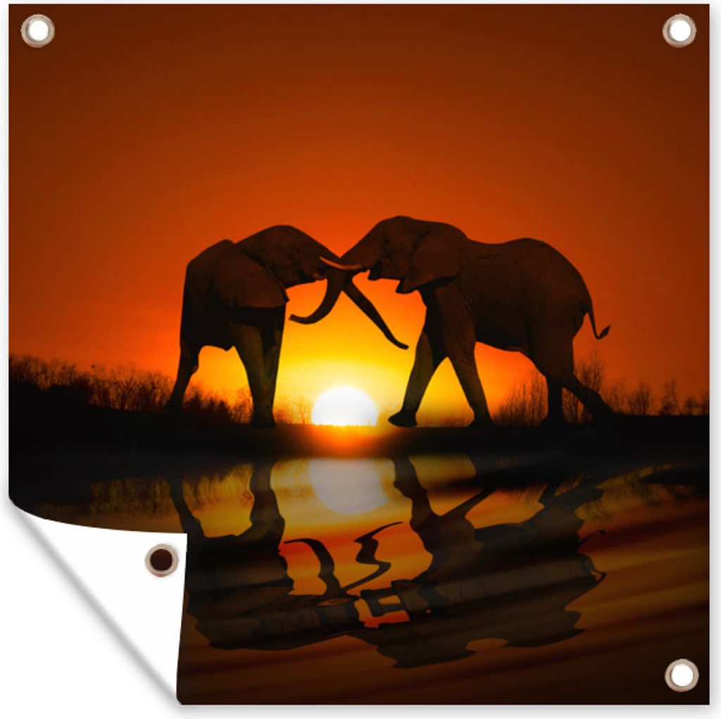 MuchoWow 50x50 cm Outdoor-Poster Gartendeko Sichtschutz Garten Poster für den Garten Elefantenpaar bei Sonnenuntergang