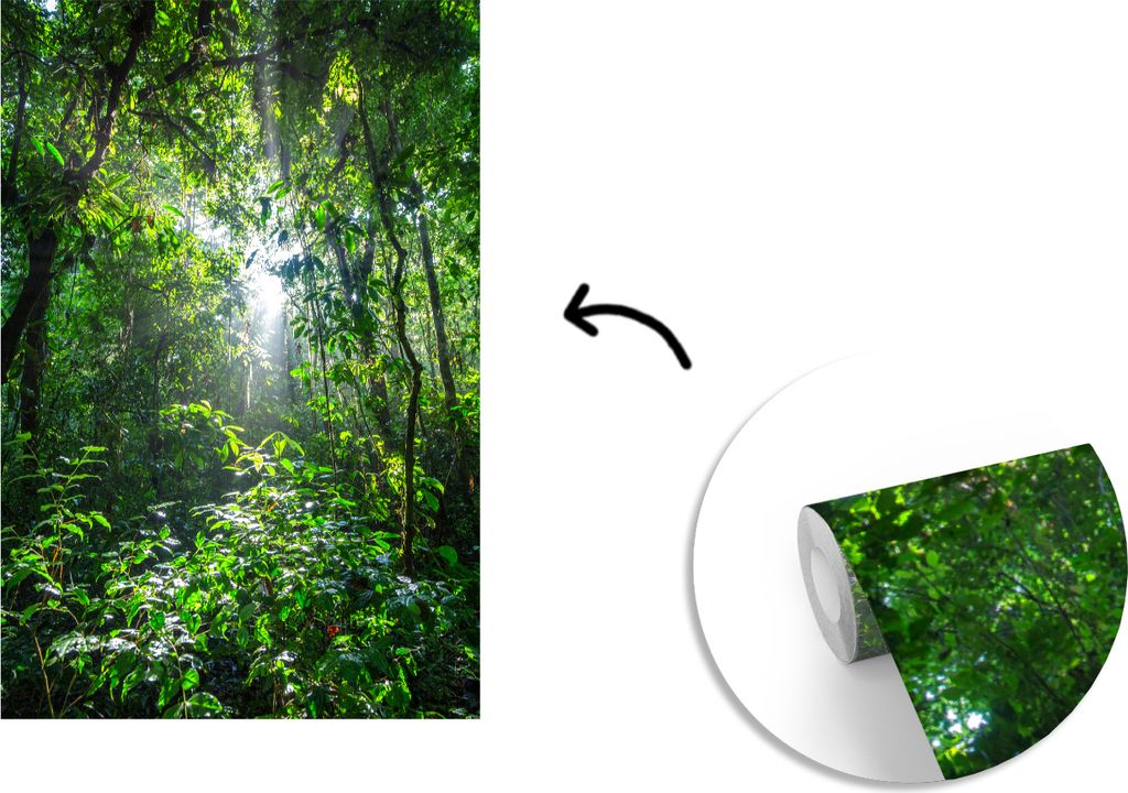 MuchoWow Fototapete für Wohnzimmer oder Schlafzimmer Wandtapete Vinyl Motivtapete Die Sonne bricht durch die Bäume des Dschungels im Corcovado-...