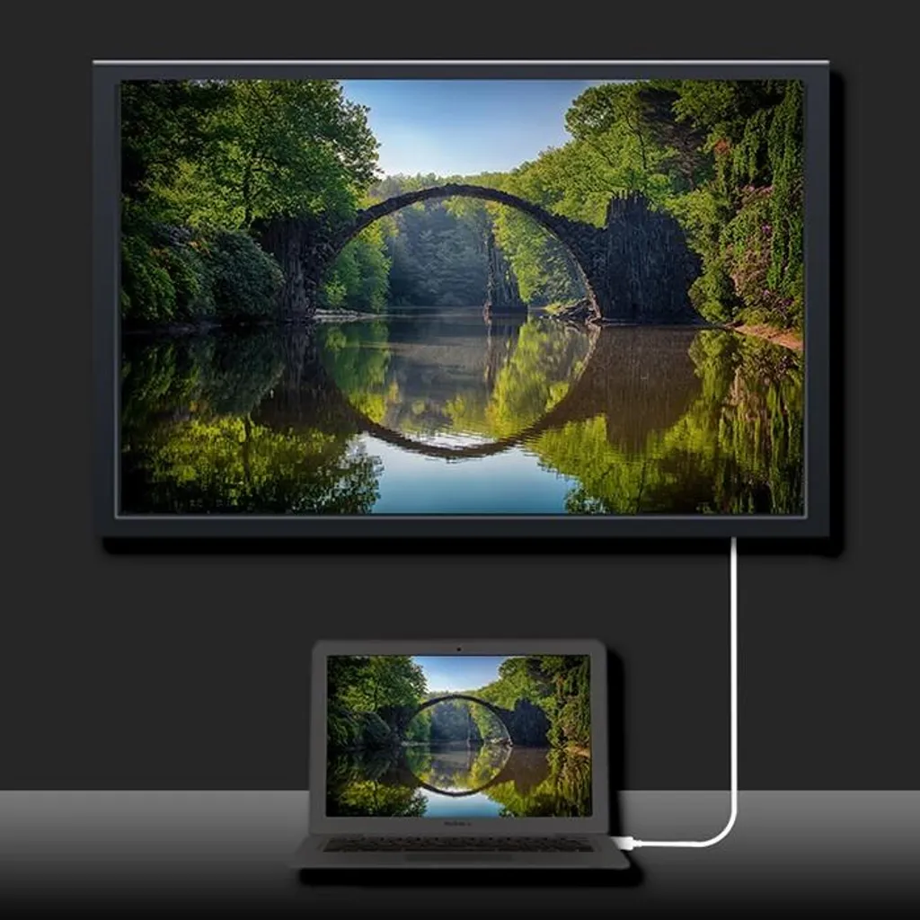 Qoltec Câble USB 3.1 Type C vers DVI 4K Mode Alternatif Longueur 1m