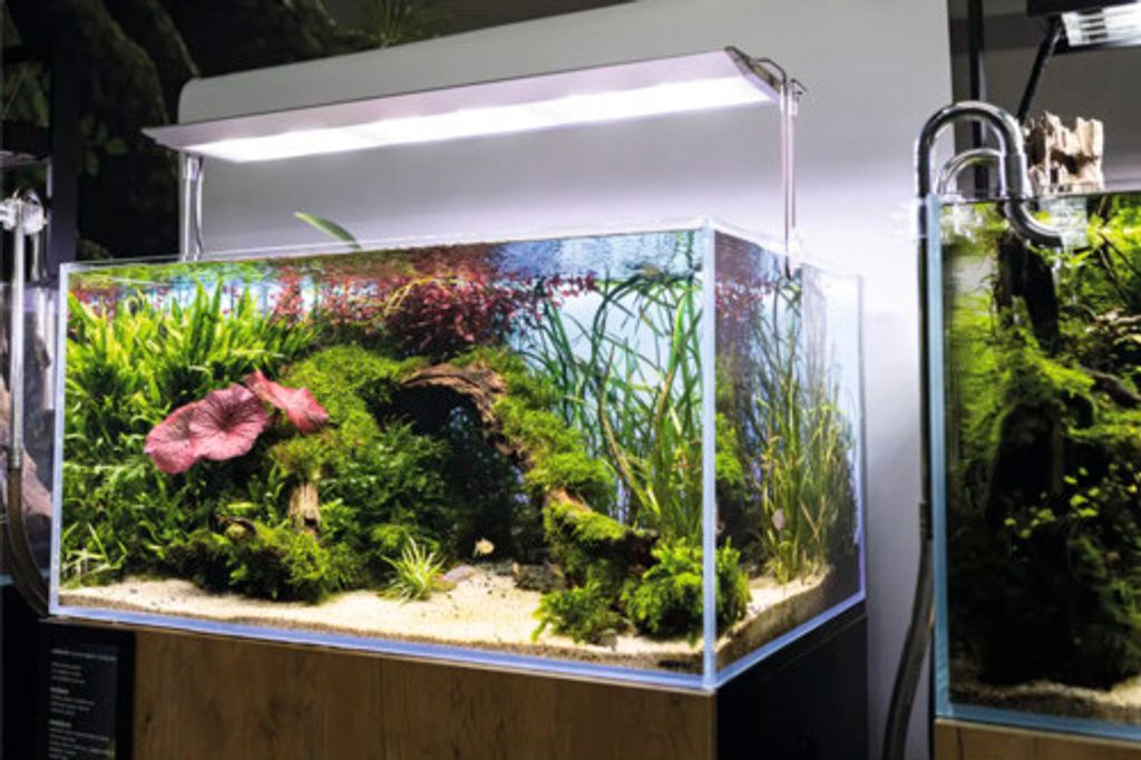 Aquarium AQUAEL UltraScape 90 mit LED Beleuchtung Ultra Slim 90, ca. 243 l, ca. 90 x 60 x 45 cm, OPTI-Glas, Weißglas, oh