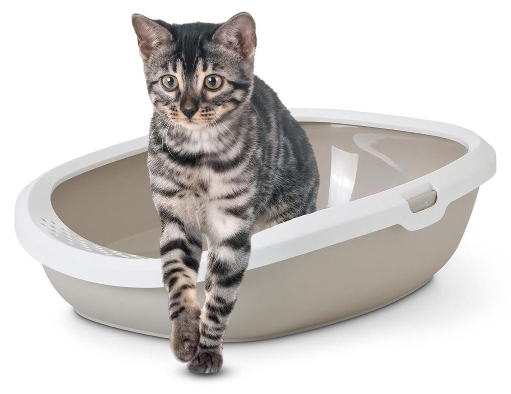 Savic Katzentoilette "Gizmo Large" 52 x 39,5 x 15 cm moka / Immagine del prodotto 