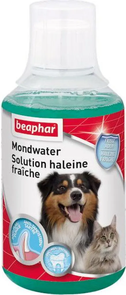 Beaphar Collutorio Cani e Gatti 250ml | Alito Fresco e Igiene Orale