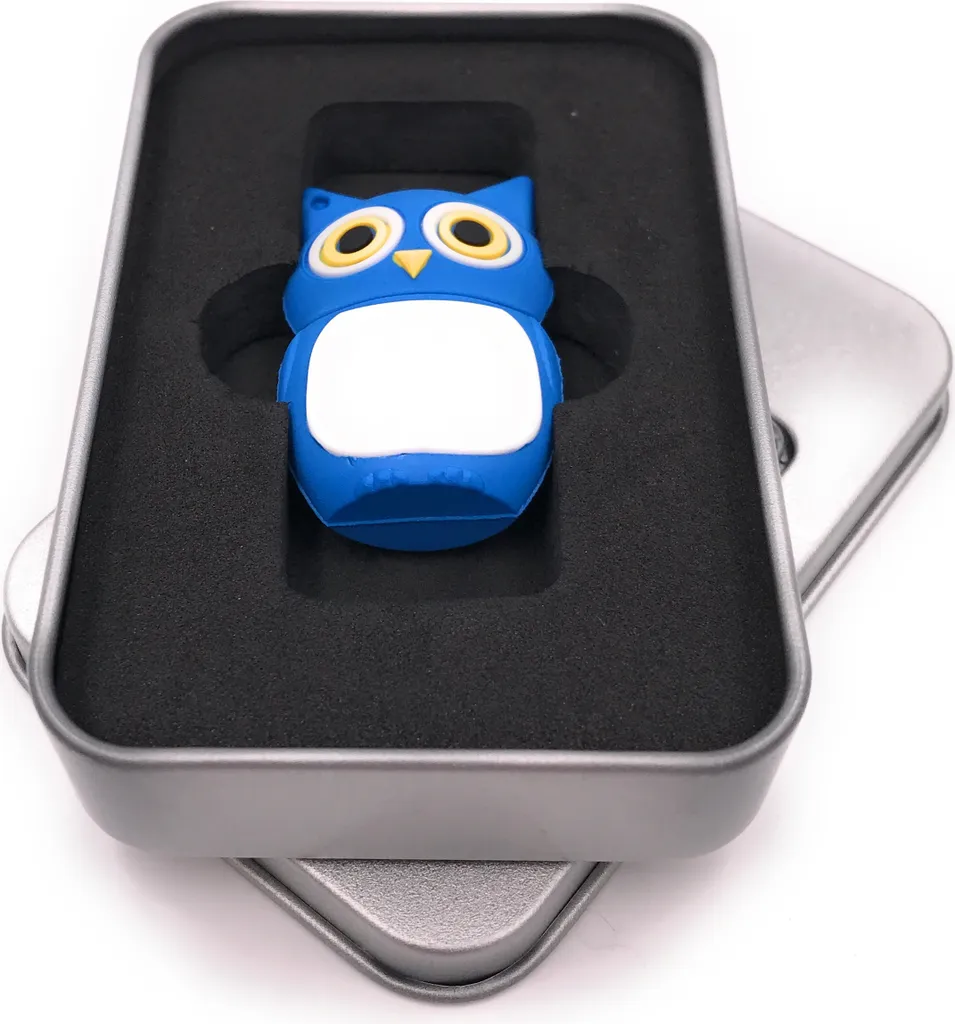 Ne perdez plus votre Clé USB 64 Go : Modèle Chouette Bleue Repérable
