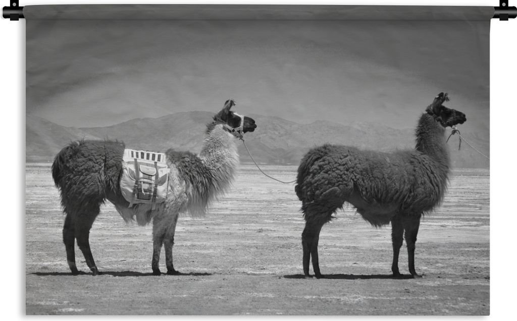 MuchoWow Wandteppich Wandbehang Lamas, bereit für eine Reise - schwarz und weiß 90x60 cm Tapisserie Dekoration Wandtuch - Wandskulpturen - Bild...