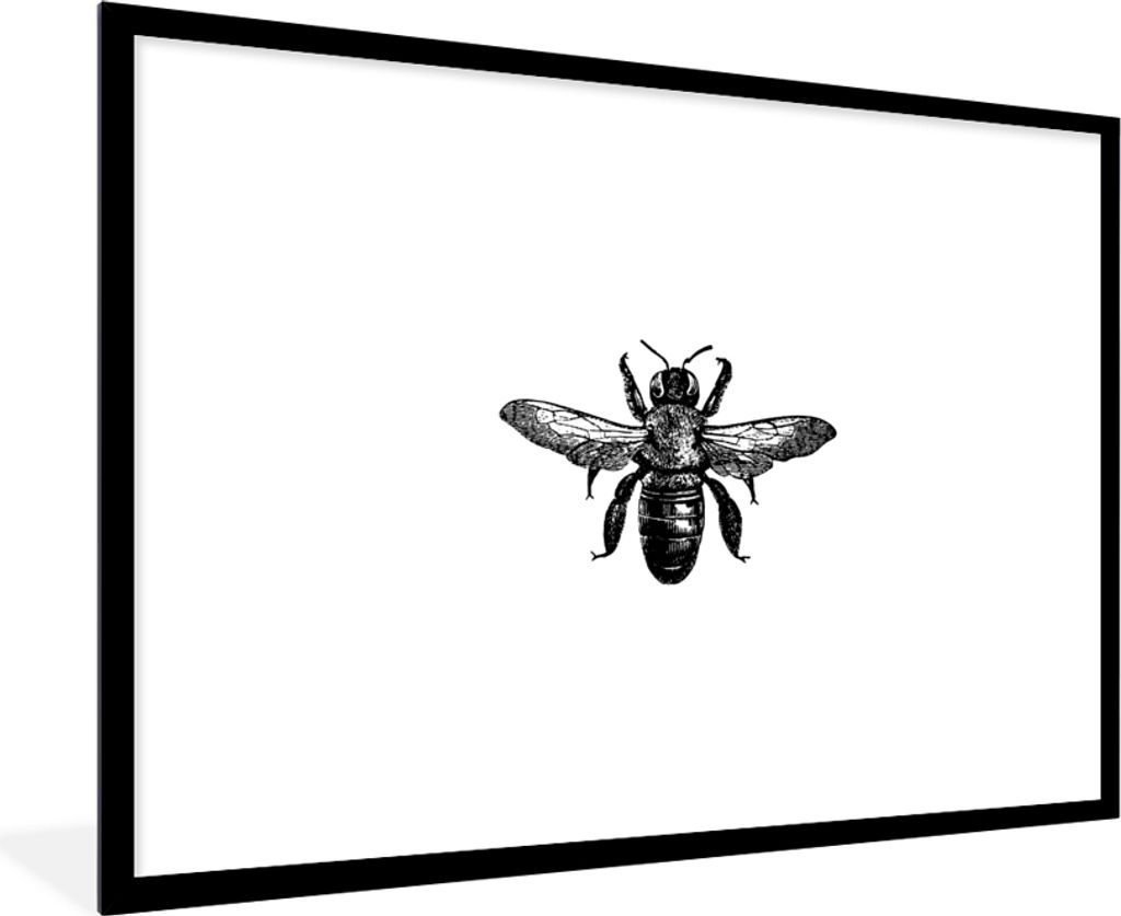MuchoWow Gerahmtes Poster Biene - Insekt - Vintage - Schwarz und weiß 90x60 cm - Poster mit Schwarzem Bilderrahmen Wandposter Rahmen Foto Bilder...