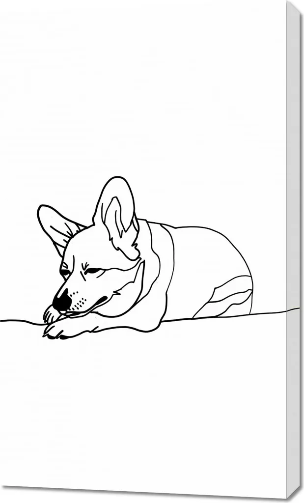 Tableau Corgi endormi 60 x 100 cm - Impression sur toile haute qualité