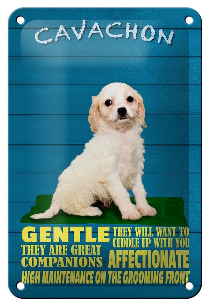Blechschild Spruch 12x18cm Cavachon Hund gentle affectionat Produktbild 