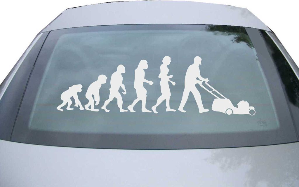 Indigos UG - Aufkleber Heckscheibe & Motorklappe DE7133 - silber - 600x180 mm - Evolution Rasenmäher - Auto Scheiben Fenster Heckklappe Tuning Rac...