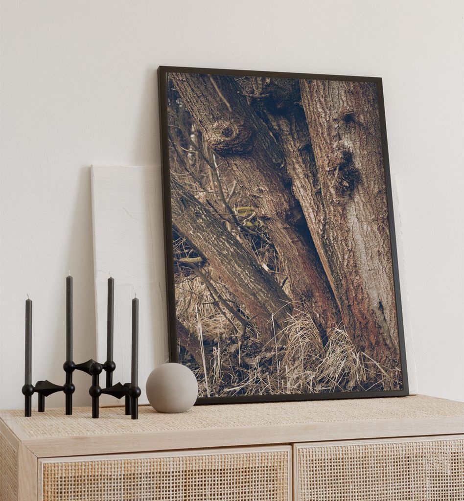 Poster Alter Baum, groesse_poster:30x40 cm, groesse_rahmen:birke 30x40 cm