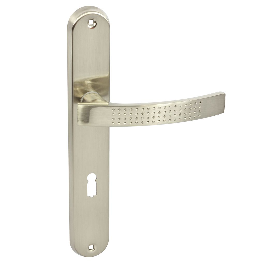 A single door handle set on a white background.