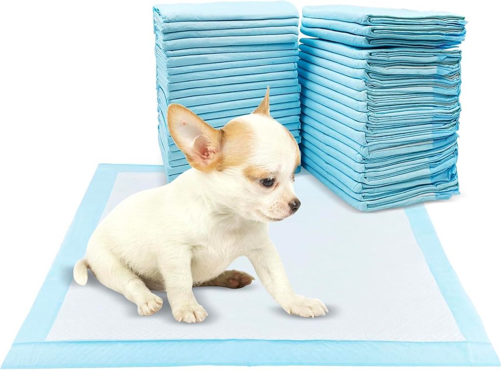 50 Stück Einweg-Bettunterlagen, 45 × 60 cm Hundetrainingsunterlagen, saugfähige Hundematte, wasserdichte Bettunterlage, auslaufsichere Pipi-Unte...