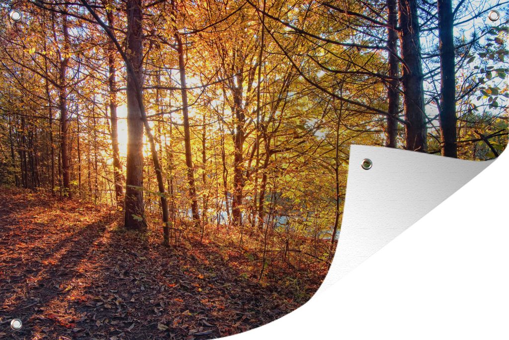MuchoWow 60x40 cm Outdoor-Poster Gartendeko Sichtschutz Garten Poster für den Garten Herbst - Wald - Laub