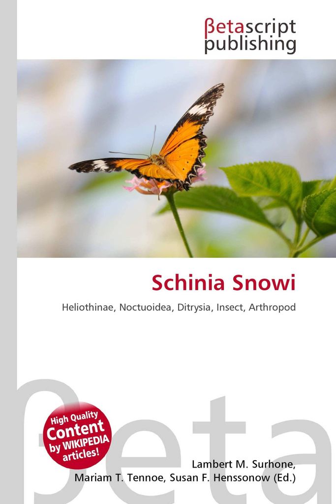 Schinia Snowi