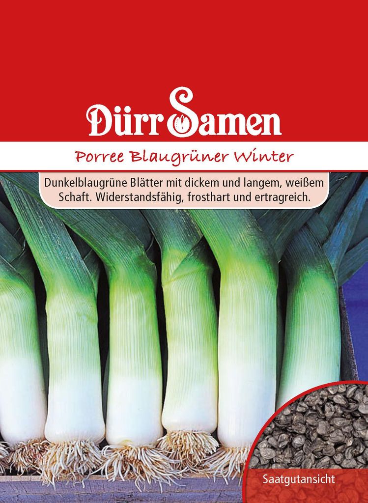Dürr-Samen - Lauch Blaugrüner Winter - Saatgut - 0162 Produktbild 