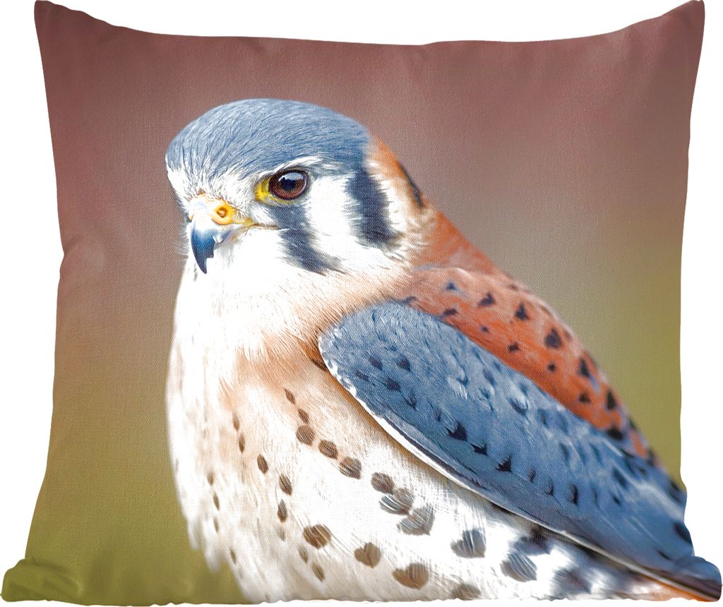 MuchoWow Zierkissen Sofakissen Wohnzimmer Dekokissen 60x60 cm Vogel - Makro - Blau - Sitzfläche - Foto Polster