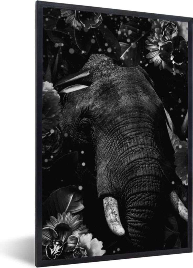 MuchoWow Gerahmtes Poster Botanischer Elefant mit hellen Kugeln auf abgedunkeltem Hintergrund - schwarz und weiß 60x90 cm - Poster mit Schwarzem...