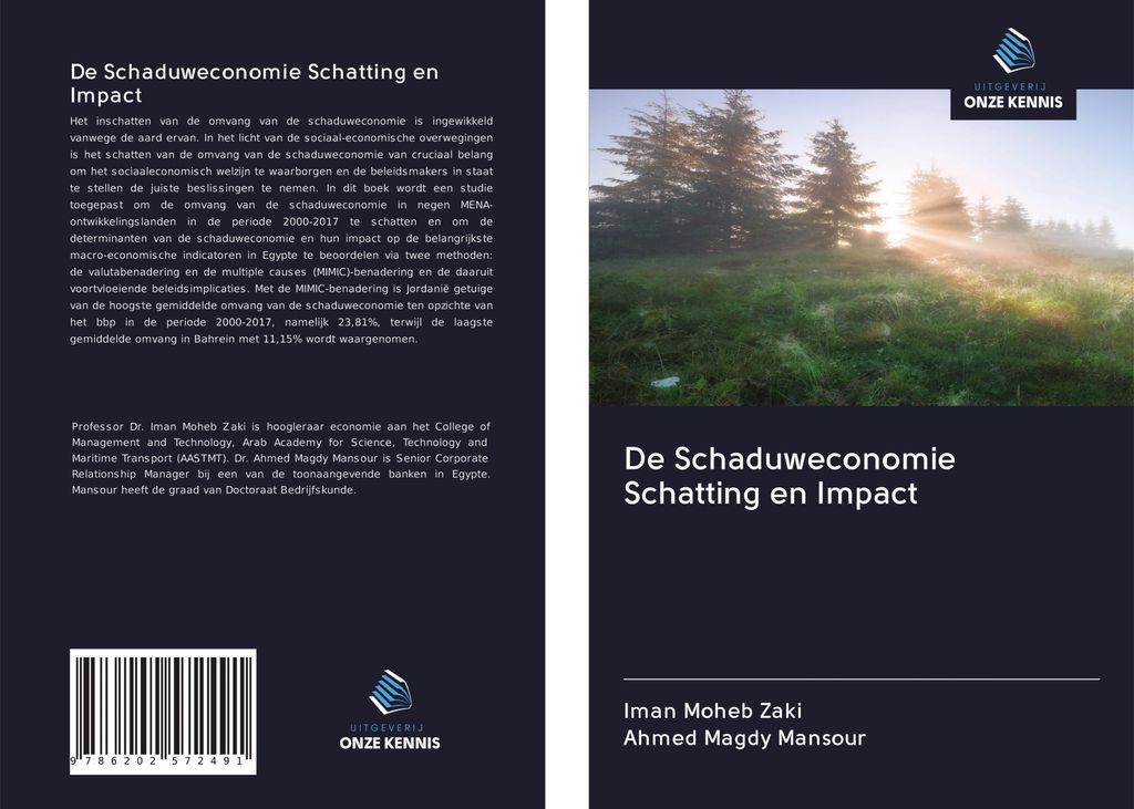 De Schaduweconomie Schatting en Impact