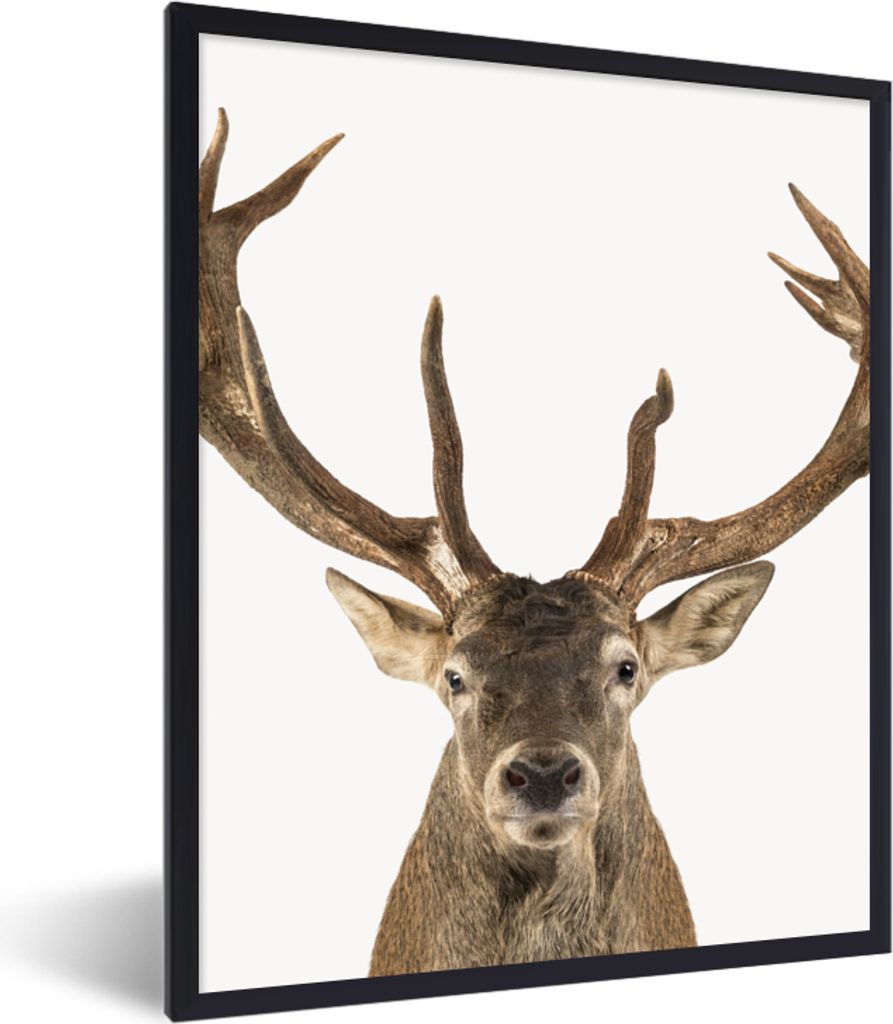 MuchoWow Gerahmtes Poster Hirsche - Tiere - Geweih - Kinder - Jungen 60x80 cm - Poster mit Schwarzem Bilderrahmen Wandposter Rahmen Foto Bilder -...