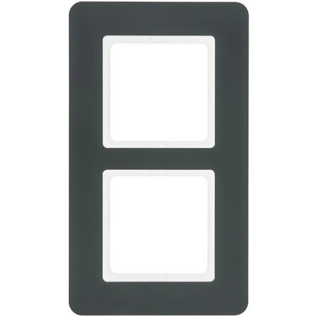 Cadre 2 postes anthracite Berker 10126186 - Plaque double velours mat