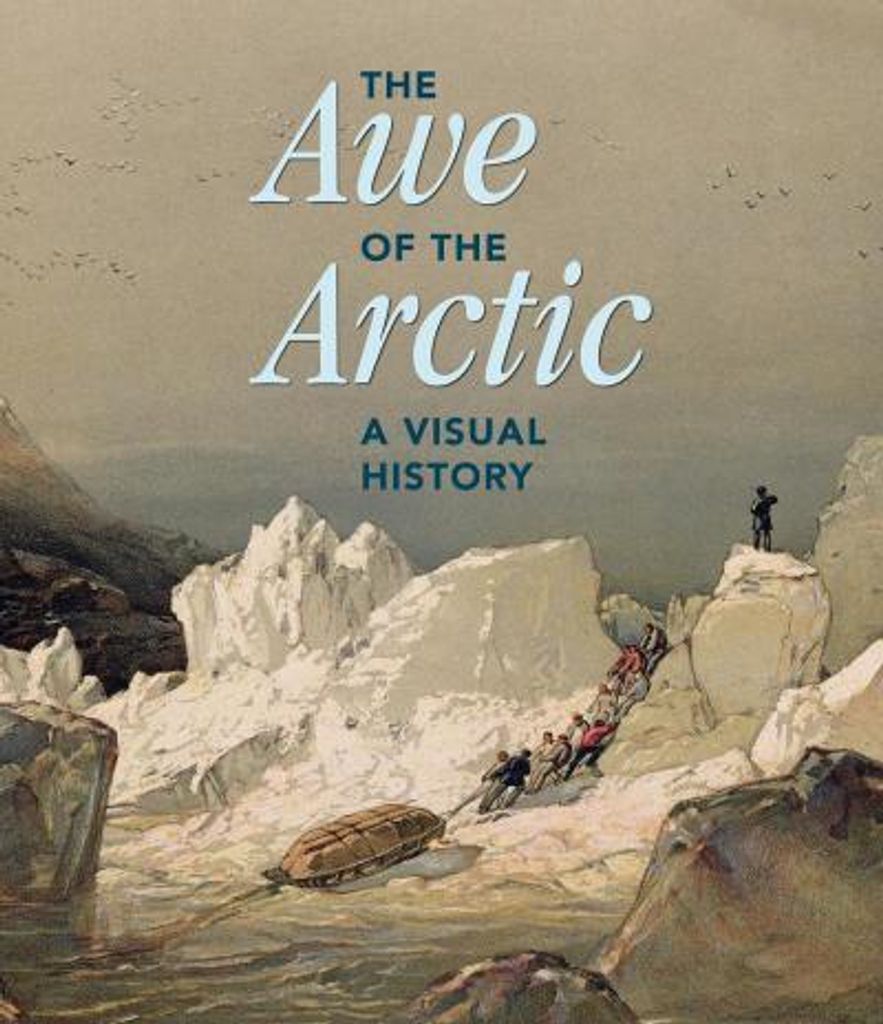 The Awe of the Arctic Obrázek produktu 