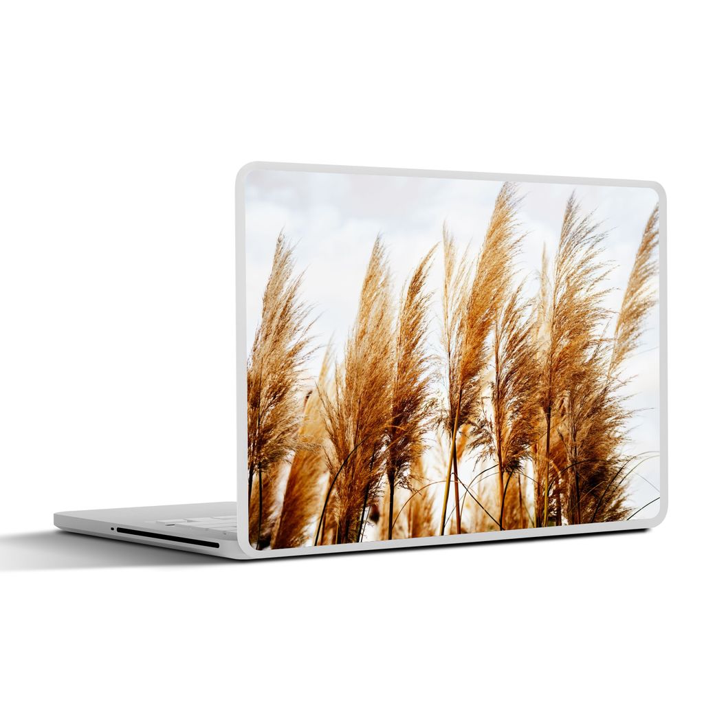 MuchoWow Laptop Aufkleber Sticker Cover Pampasgras - Sonne - Gras 40x30 cm - Laptop Dekoration - Selbstklebend