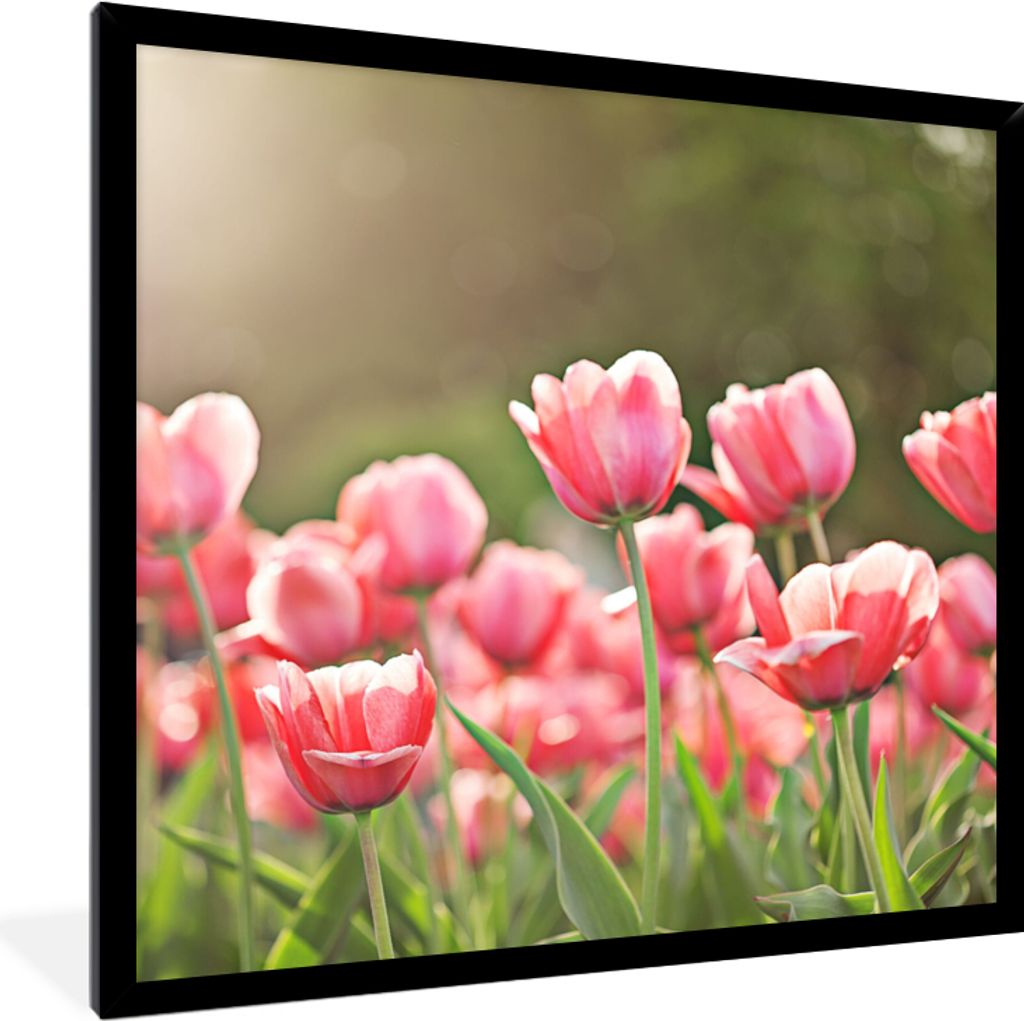 MuchoWow Gerahmtes Poster Tulpen - Sonne - Frühling 40x40 cm - Poster mit Schwarzem Bilderrahmen Wandposter Rahmen Foto Bilder - Mit Rahmen - Wa...