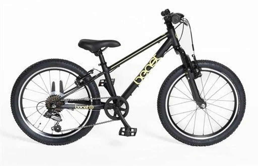 Vélo enfant 20 pouces Beast Bike Fun 6V polyvalent pour fille et garçon