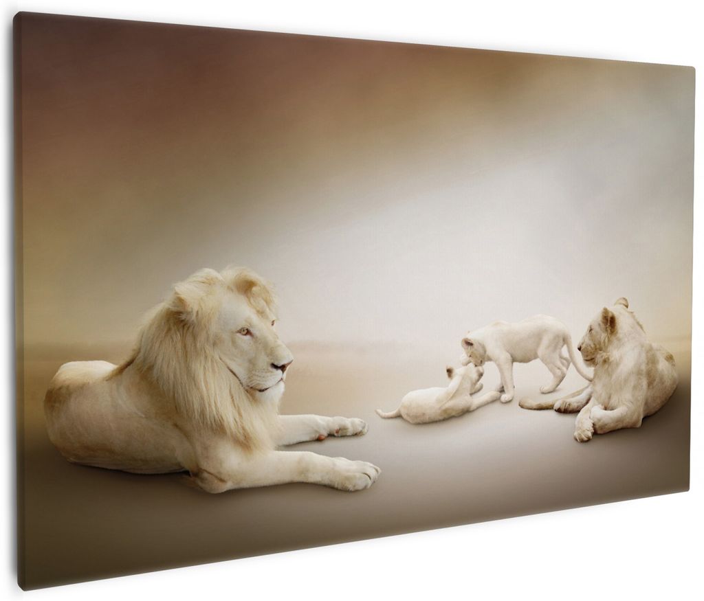 Wallario Premium Leinwandbild Löwenfamilie mit Jungtieren in Größe 60 x 90 cm