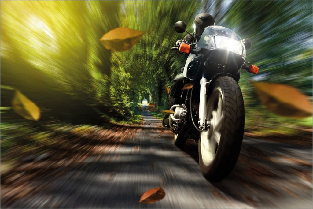 Wallario Poster - Fahrendes Motorrad im Wald mit Herbstlaub, Kunstdruck Größe: 61 x 91,50 cm