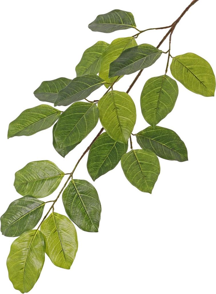 artplants.de Banyan Feige Kunstzweig ERASMOS, schwer entflammbar, grün, 80cm - Banyanbaum künstlicher Zweig