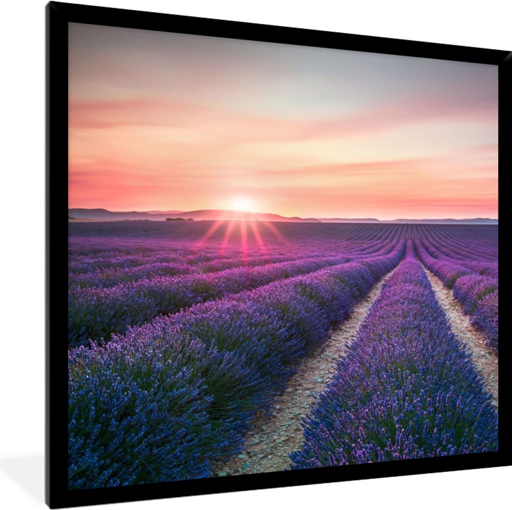 MuchoWow Gerahmtes Poster Lavendel - Lila - Blumen - Himmel 40x40 cm - Poster mit Schwarzem Bilderrahmen Wandposter Rahmen Foto Bilder - Mit Rahm...
