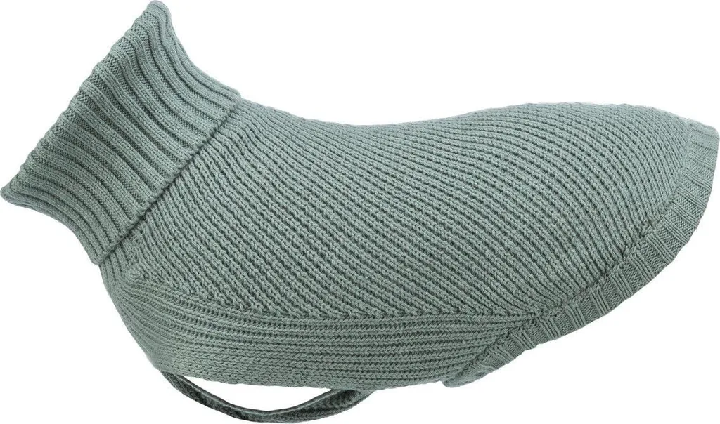 CityStyle Berlino Maglione Salvia: Outfit Pet di Tendenza 2026 - 1