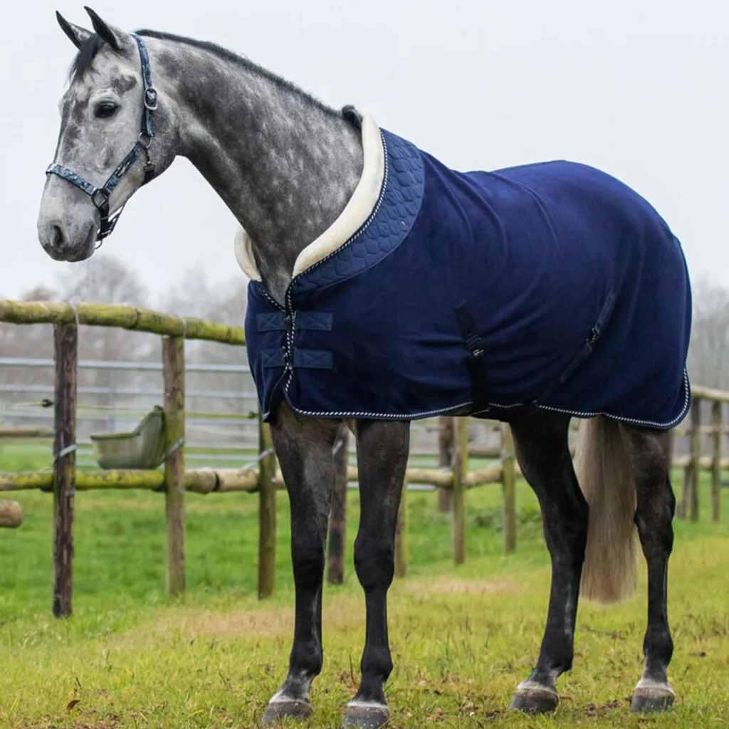Coperta Pile QHP Brilliance Mirtillo: Protezione Dolce per il Cavallo