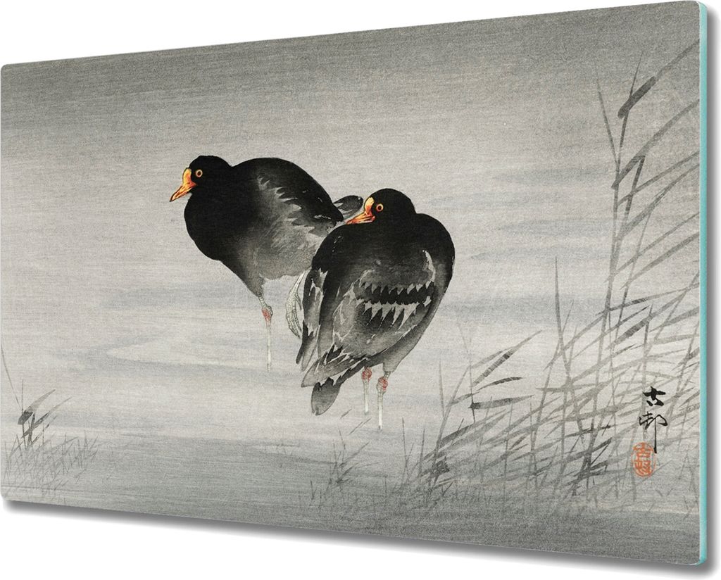 Coloray Schneidebrett Herdabdeckplatte 80x52 cm Kochplattenabdeckung Hackbrett Küchenbrett - Tiere Vögel Wasser