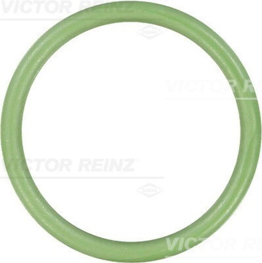 REINZ 71-35248-00 Ansaugkrümmer-Dichtung passend für PEUGEOT 206 Schrägheck (2A/C) 106 II Schrägheck (1A, 1C) 306 Schrägheck (7A, 7C, N3, N5) ...