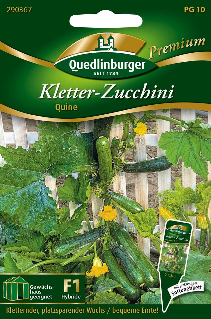 Quedlinburger Saatgut - Cukinia pnąca Quine - nasiona - Zdjęcie produktu 