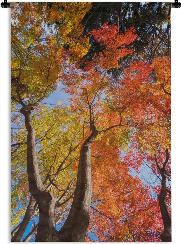MuchoWow Wandteppich Wandbehang Roter Ahorn im Herbst in Japan 120x180 cm Tapisserie Dekoration Wandtuch - Schlafzimmer - Dekorationen für das Haus