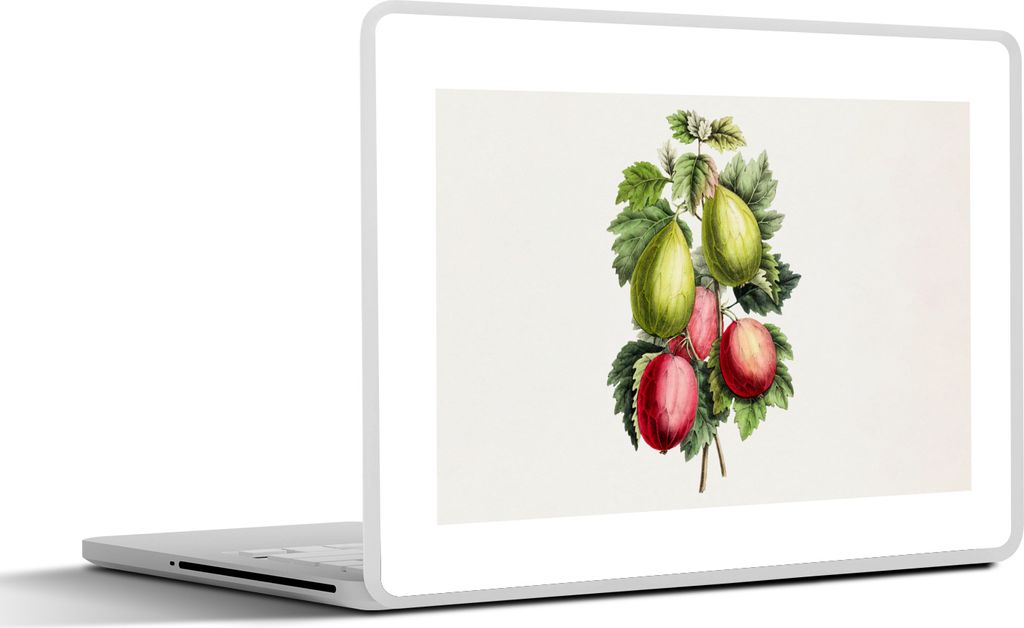 MuchoWow Laptop Aufkleber Sticker Cover Lebensmittel - Feigen - Gesund 25x18 cm - Laptop-Deko