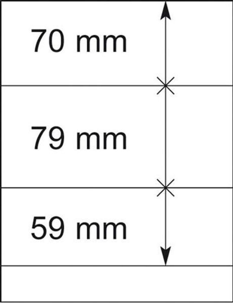 Lindner 802301P T-Blanko-Blätter - 10er-Packung