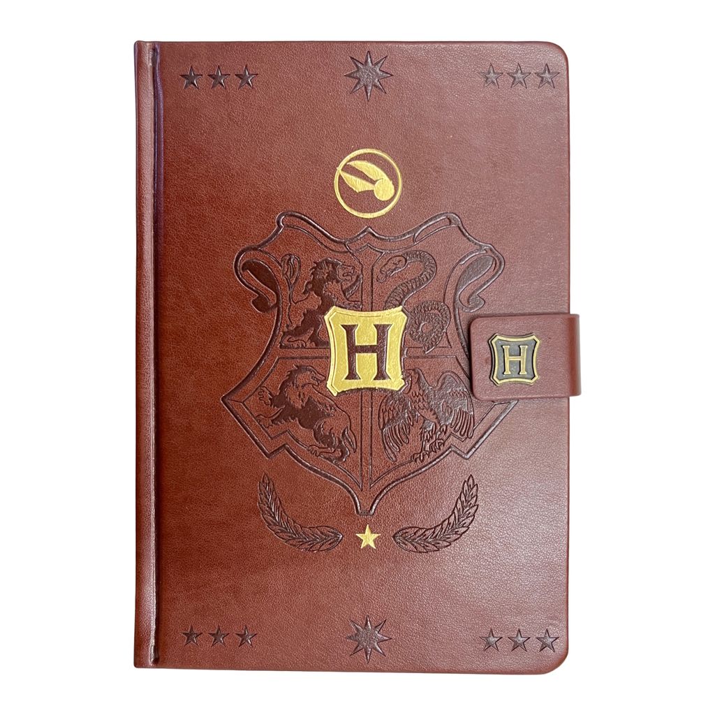 Harry Potter Quidditch Notizbuch mit 240 linierten Seiten Produktbild 