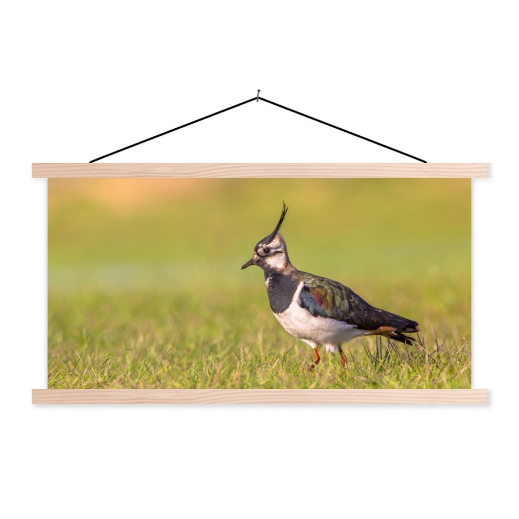 MuchoWow Textilposter Vogel - Gras - Natur - Tiere - Kiebitz 60x30 cm mit holzfarbenen Rahmen - Dekoration