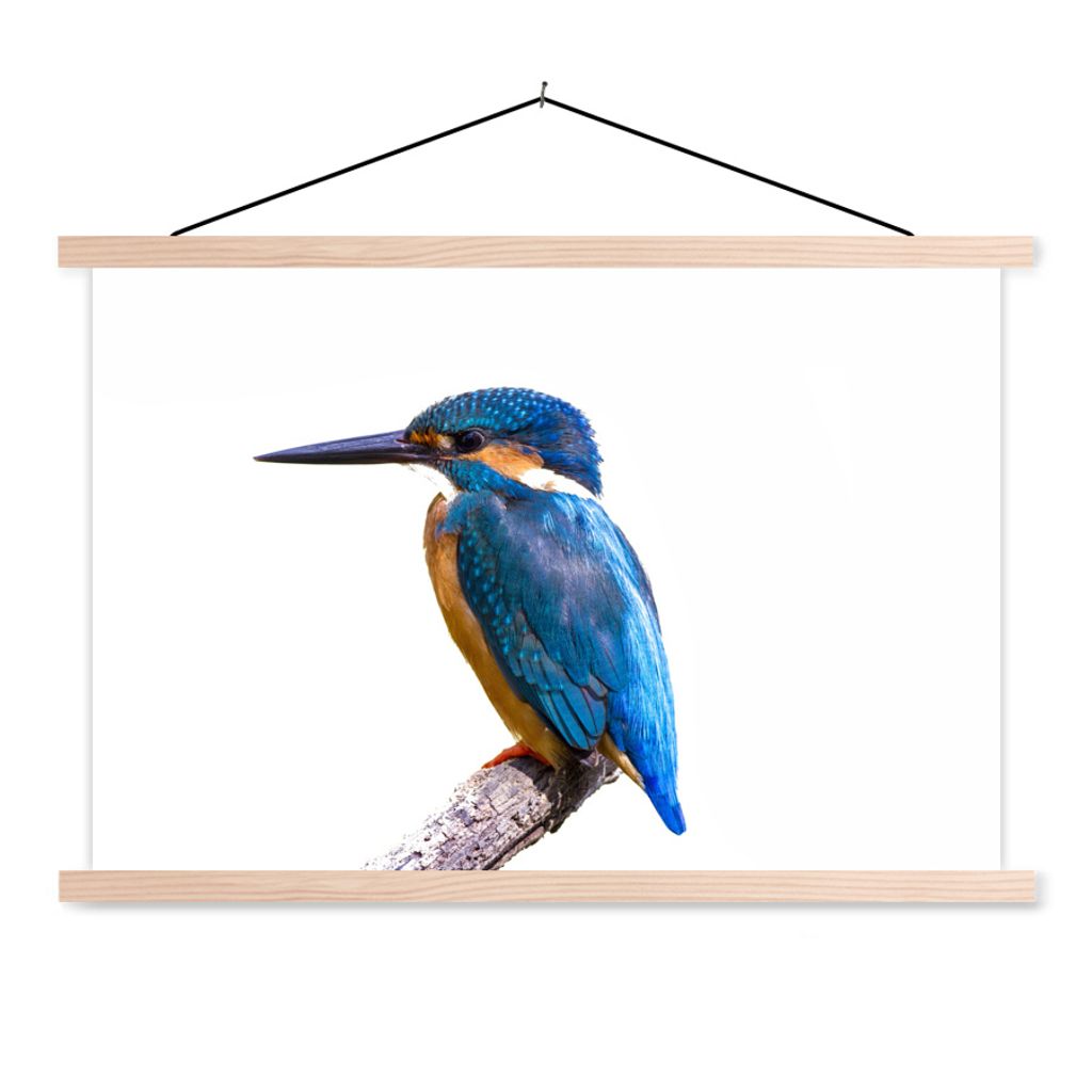 MuchoWow Textilposter Eisvogel - Federn - Zweig - Blau 60x40 cm mit holzfarbenen Rahmen - Bilder