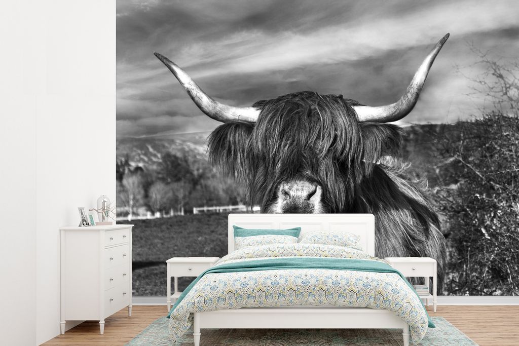 MuchoWow Fototapete für Wohnzimmer oder Schlafzimmer Wandtapete Vinyl Motivtapete Schottischer Hochländer - Porträt - Schwarz - Weiß - Tier -...